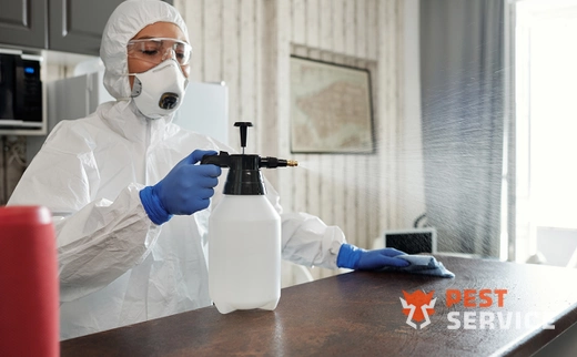 Дезинфекция в Новокузнецке